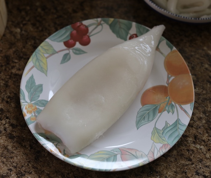Squid