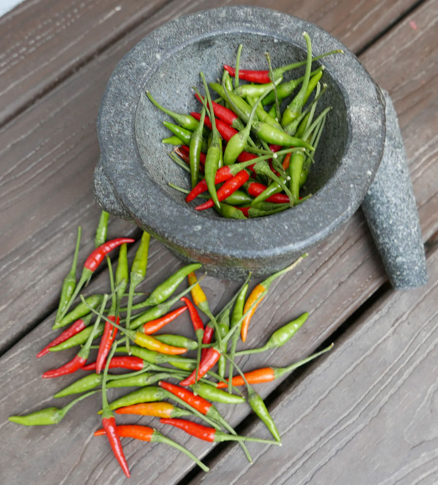Fresh Chillies
