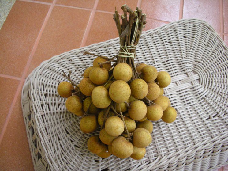 Fresh longan