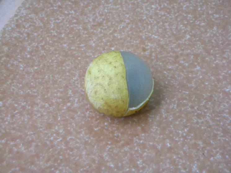 Fresh longan