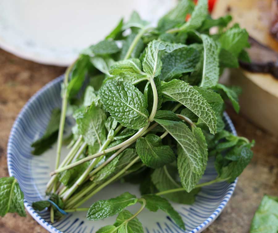 Fresh Mint