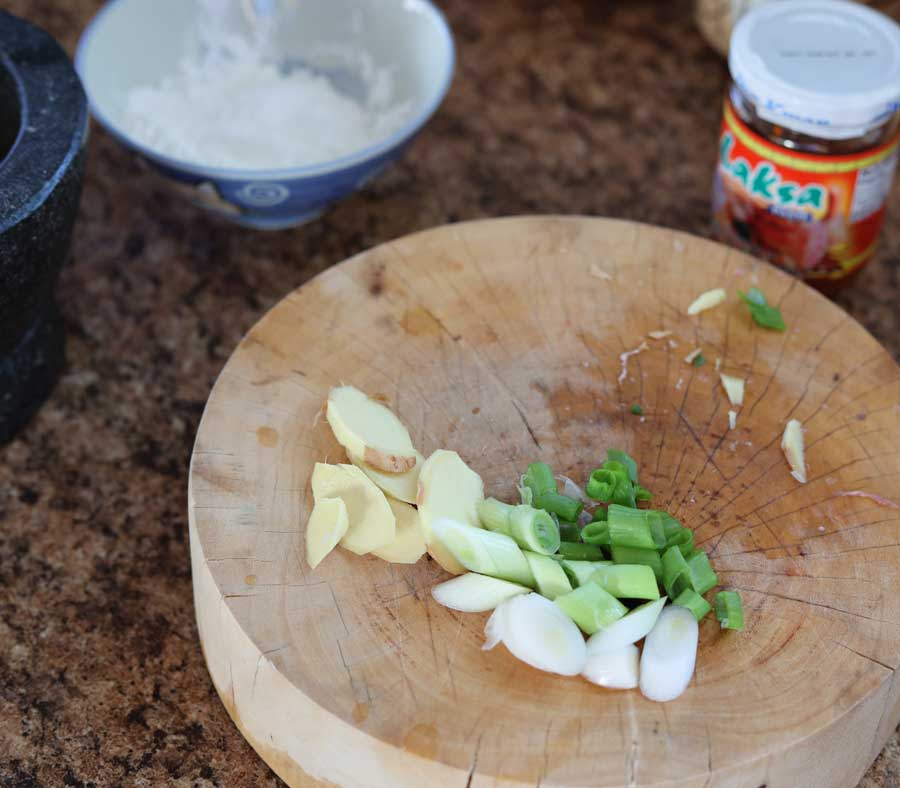 Ginger and Onion