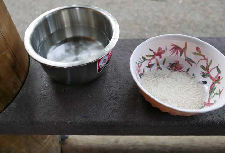 Water Rice