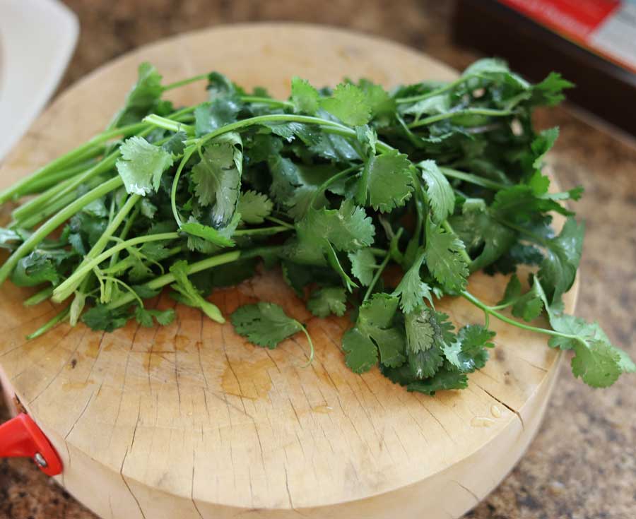 Coriander Bunch