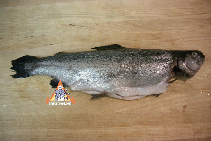 Freshwater fish