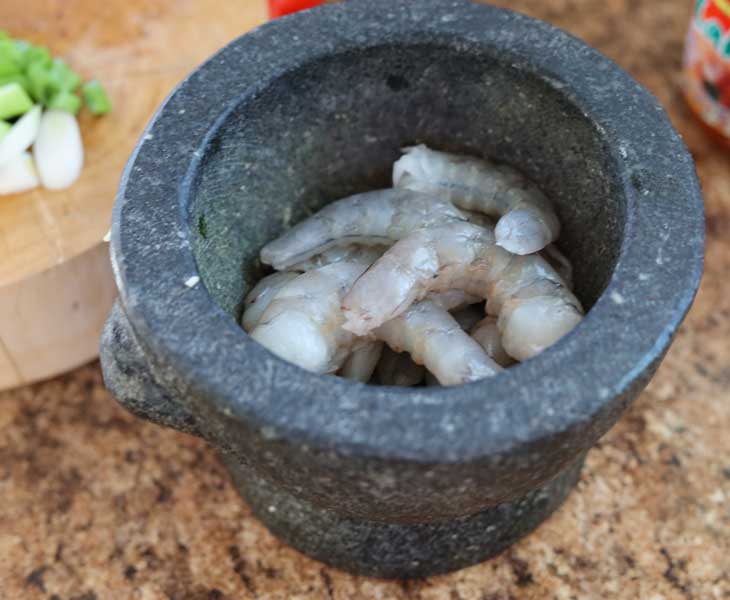 Shrimp