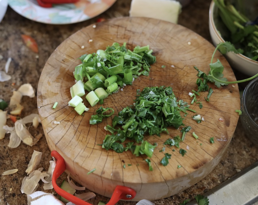 Cilantro Onion