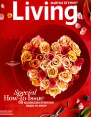 Martha Stewart Living
