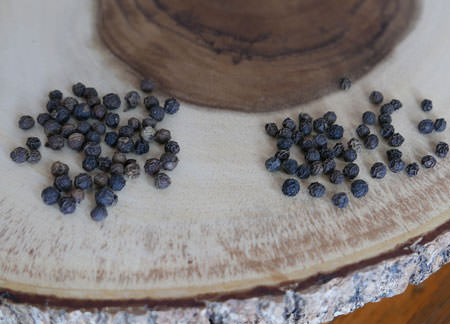 Black Peppercorn - Fresh Harvest Special Offer