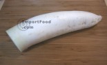 Daikon Radish