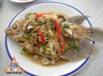 DSCN8992-joo-khing.jpg