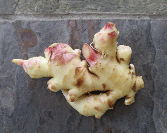 Fresh Hawaiian ginger, 32 oz via Fedex Express
