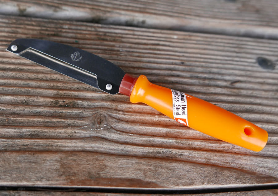 Mango Peeler