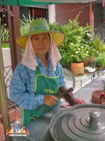 pokpok_4l.jpg
