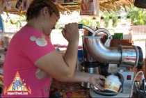 Street Vendor Snocones