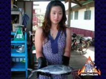 Feature: Seafood In The Gulf Of Thailand