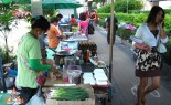 Bangkok is like walking through a giant colorful public kitchen