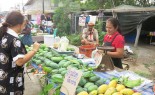 Fresh Thai Mango