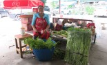 Pak Boong - Morning Glory - Thailand